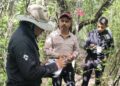 Refuerza Tamaulipas la vigilancia para proteger a la paloma ala blanca