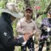 Refuerza Tamaulipas la vigilancia para proteger a la paloma ala blanca