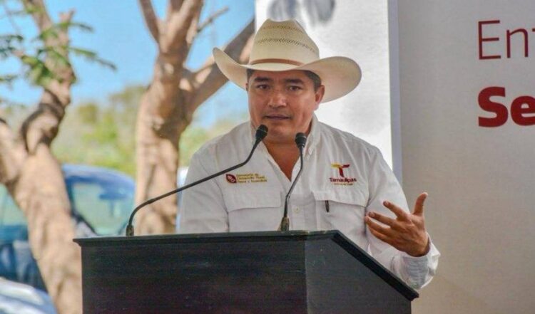 Lidera Tamaulipas la producción nacional de carbón vegetal