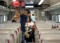 Gobierno federal destina 8.8 millones de pesos para crear identidad única de los trenes de pasajeros en México
