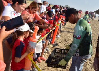 Liberan crías de tortuga lora niñas y niños de Güémez