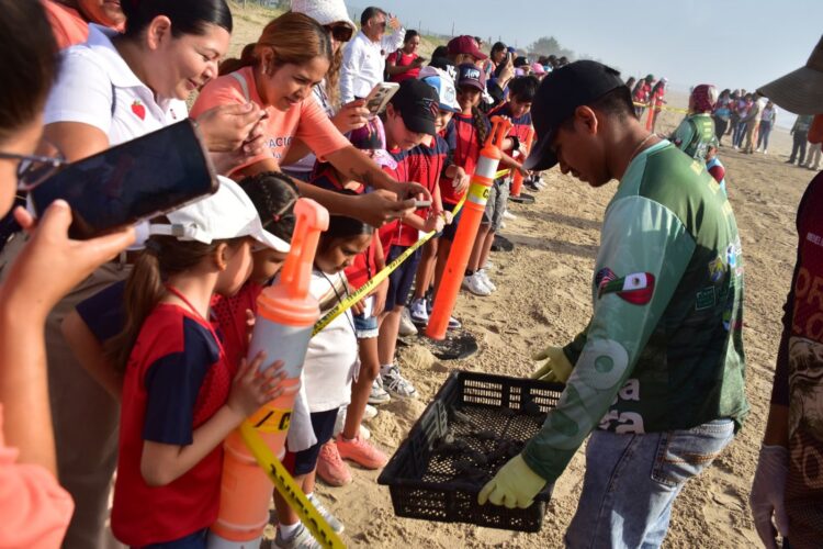 Liberan crías de tortuga lora niñas y niños de Güémez