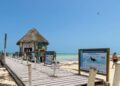 Semarnat frena hotel de palafitos en Holbox y activa protección ambiental por 20 años
