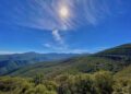 Reserva de la Biosfera El Cielo: el paraíso natural de Tamaulipas donde la selva, la niebla y la vida silvestre sorprenden