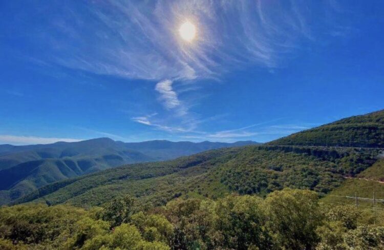 Reserva de la Biosfera El Cielo: el paraíso natural de Tamaulipas donde la selva, la niebla y la vida silvestre sorprenden