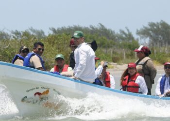 Consolida SEDUMA alianza social para preservar ecosistemas costeros