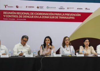 Refuerzan trabajo preventivo contra el dengue en zona surde Tamaulipas  