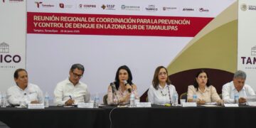 Refuerzan trabajo preventivo contra el dengue en zona surde Tamaulipas  