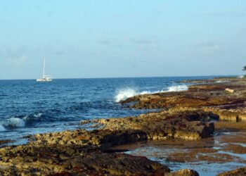 Quintana Roo activa plan contra el sargazo para proteger turismo y economía del Caribe Mexicano