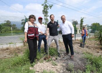 Fortalece SEDUMA reforestación urbana en Parques del Bienestar