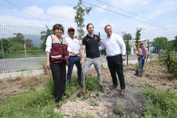 Fortalece SEDUMA reforestación urbana en Parques del Bienestar