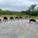 Guardia Estatal fortalece preparación física de sus elementos en Mainero