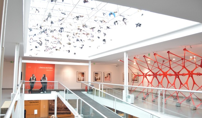 Museo Carrillo Gil abre diálogo sobre migración, arte y comunidad con el simposio “Desplazamientos hemisféricos desde el arte”