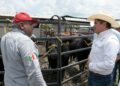 Impulsa Gobierno de Tamaulipas  competitividad del sector ganadero