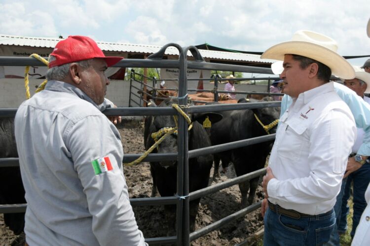 Impulsa Gobierno de Tamaulipas competitividad del sector ganadero