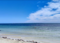 Cancún concentra barrera antisargazo mientras Puerto Morelos enfrenta dificultades por corrientes marinas