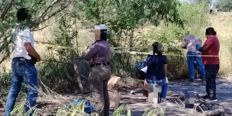 Hallan nuevo campo de exterminio en Reynosa